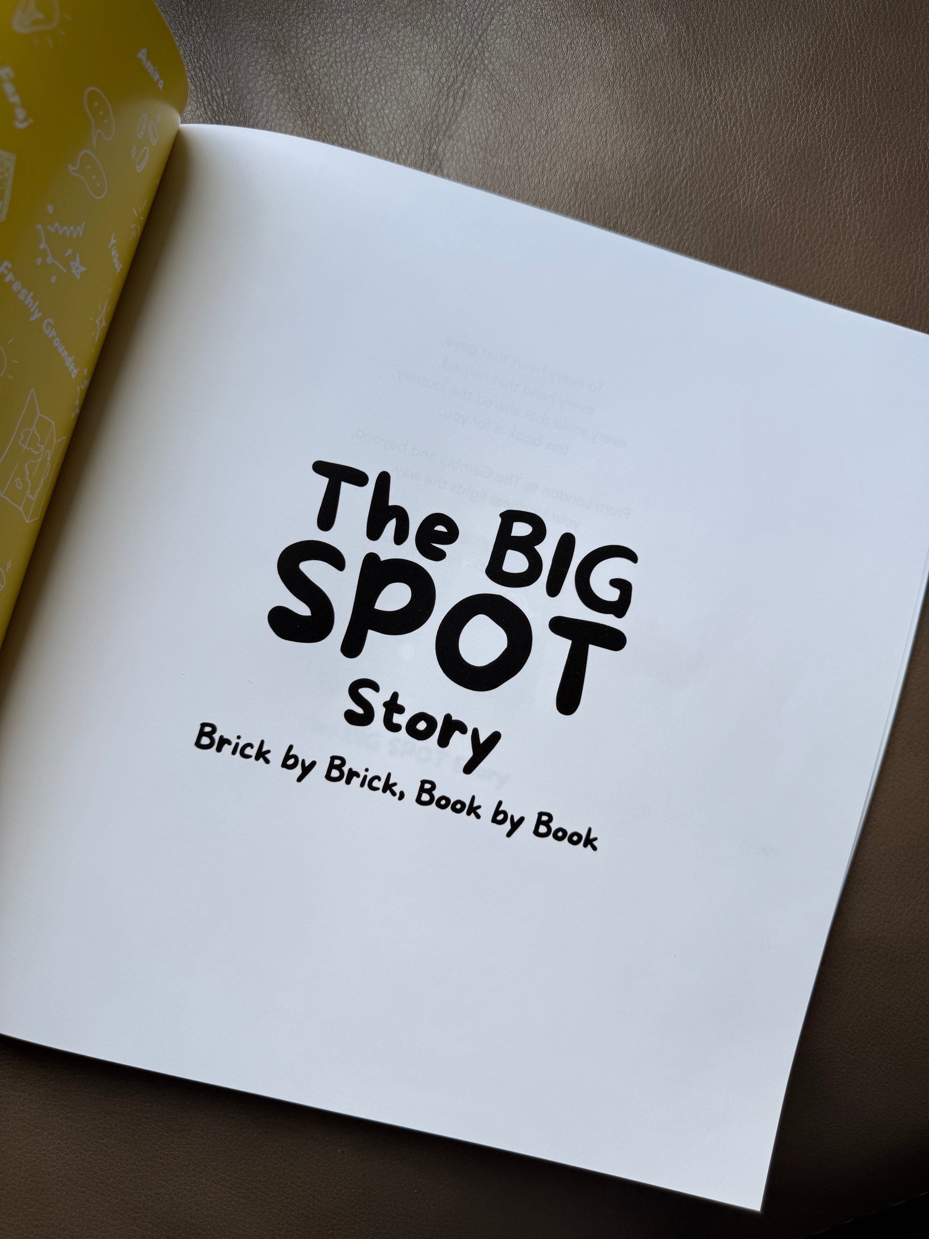 The BIG SPOT Story